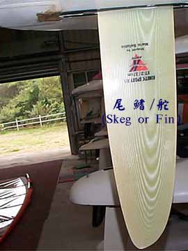 尾 鰭/舵 (Skeg or Fin)