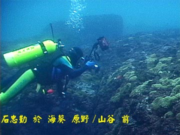 石忠勤 於 海葵 原野/山谷 前