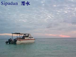 Sipadan 潛水