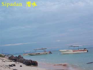 Sipadan 潛水