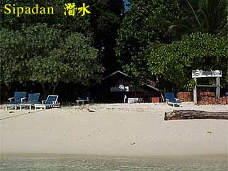 Sipadan 潛水