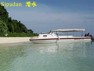 Sipadan 潛水