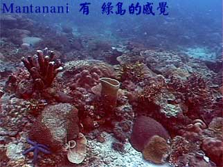 Mantanani 有 綠島的感覺