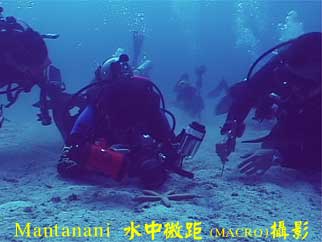 Mantanani 水中微距(MACRO)攝影