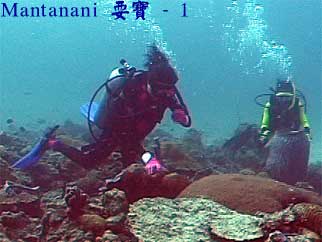 Mantanani 耍寶 - 1