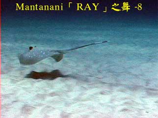 Mantanani「RAY」之舞 - 8