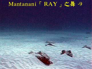 Mantanani「RAY」之舞 - 9