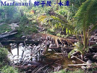 Mantanani 椰子殼、水潭