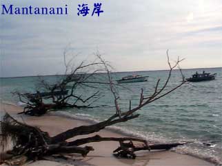 Mantanani 海岸