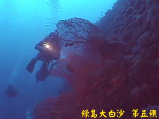 綠島大白沙 第五礁