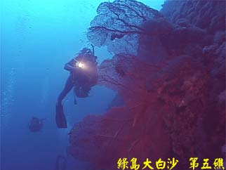 綠島大白沙 第五礁