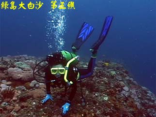 綠島大白沙 第五礁