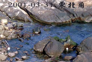 2001-03-31 東北角  風平浪靜